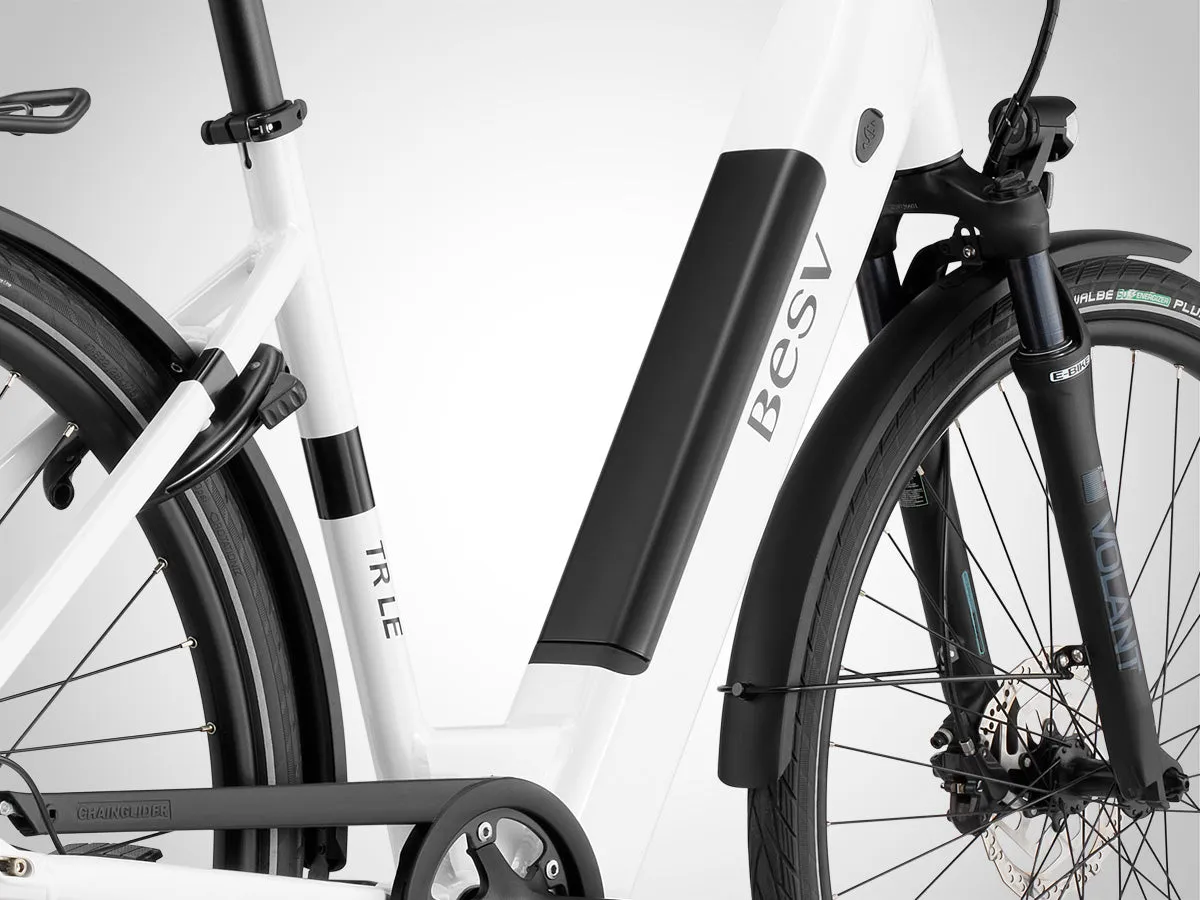 BESV 250W TR LE LS Step-Thru Electric Bike