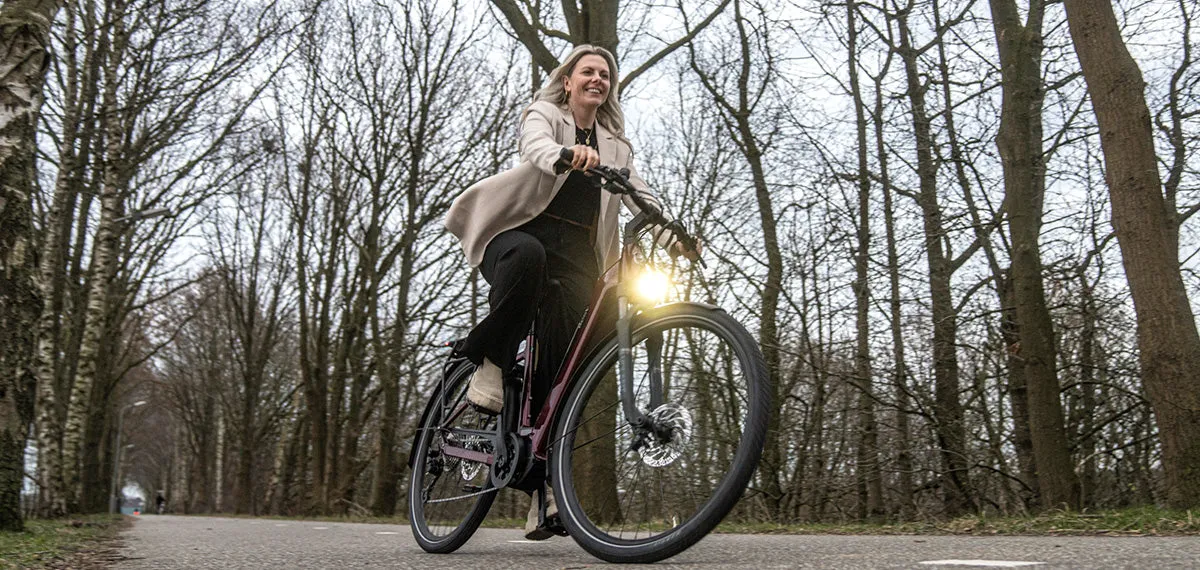 BESV 250W TR LE LS Step-Thru Electric Bike