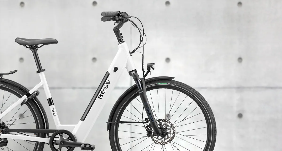 BESV 250W TR LE LS Step-Thru Electric Bike