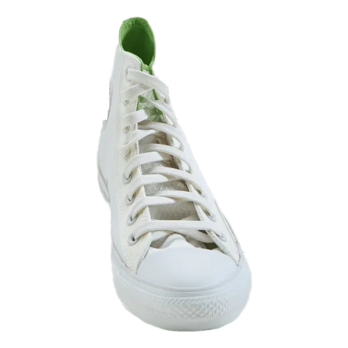 Chuck Taylor All Star White/Green